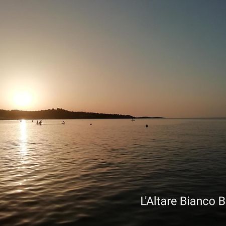 B&B L'Altare Bianco Βιέστε Εξωτερικό φωτογραφία