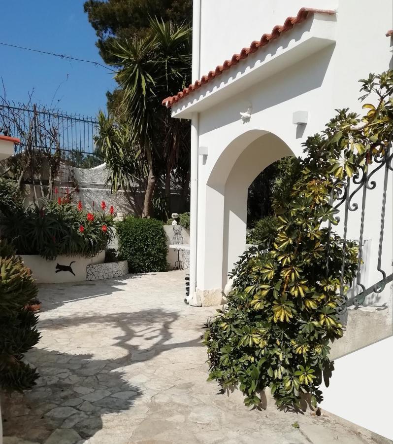 B&B L'Altare Bianco Βιέστε Εξωτερικό φωτογραφία