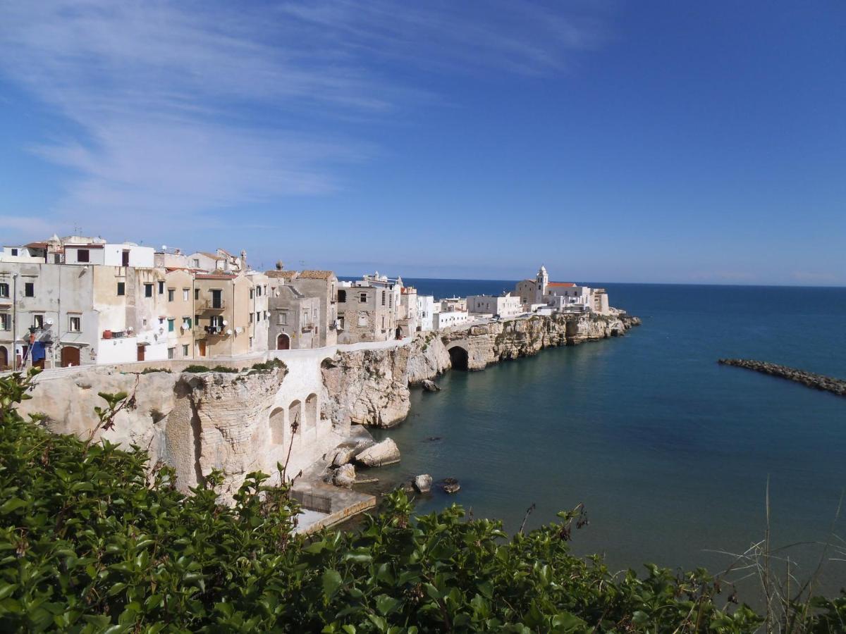 B&B L'Altare Bianco Βιέστε Εξωτερικό φωτογραφία