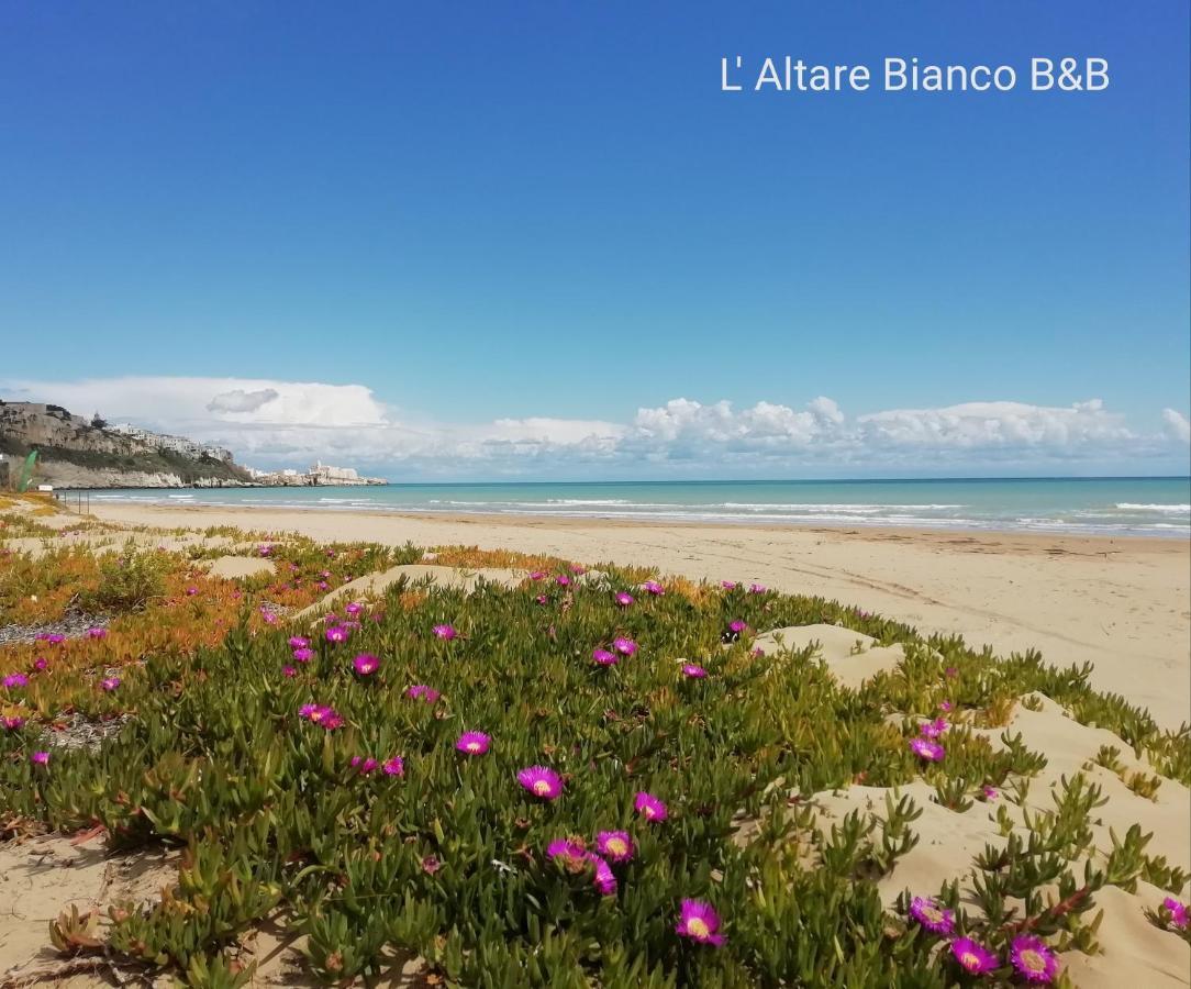 B&B L'Altare Bianco Βιέστε Εξωτερικό φωτογραφία