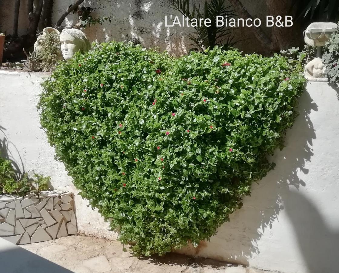 B&B L'Altare Bianco Βιέστε Εξωτερικό φωτογραφία